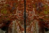 Tall Arizona Petrified Wood Bookends - Rainbow Colored #338273-2